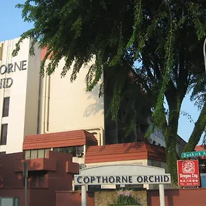 copthorne-orchid.singapore-best-hotels.net/